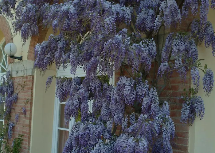 Hotel Palagione Centro Interculturale